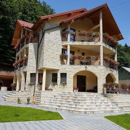 Casa Andra 호텔 슬래닉몰도바 외부 사진