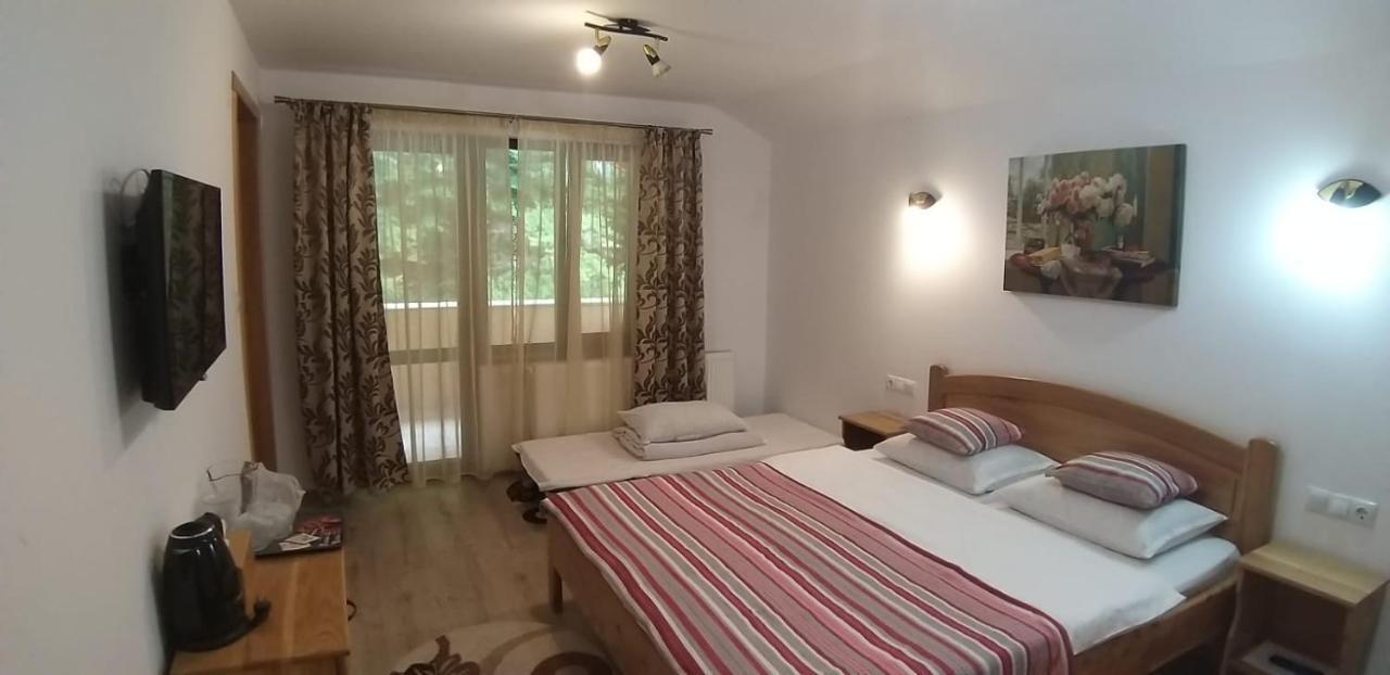 Casa Andra 호텔 슬래닉몰도바 외부 사진