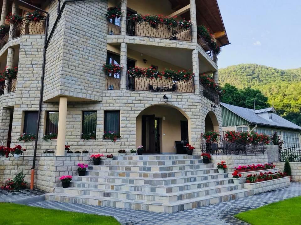 Casa Andra 호텔 슬래닉몰도바 외부 사진