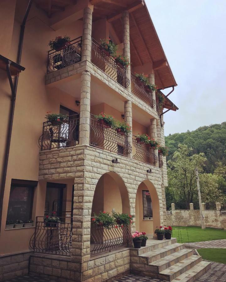 Casa Andra 호텔 슬래닉몰도바 외부 사진