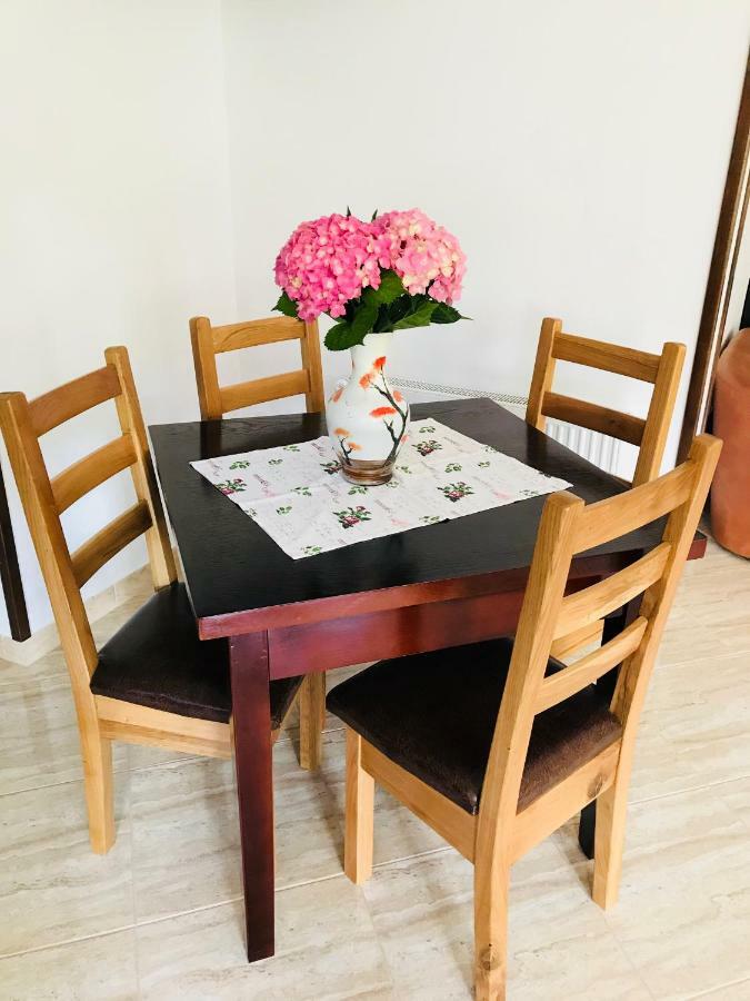 Casa Andra 호텔 슬래닉몰도바 외부 사진