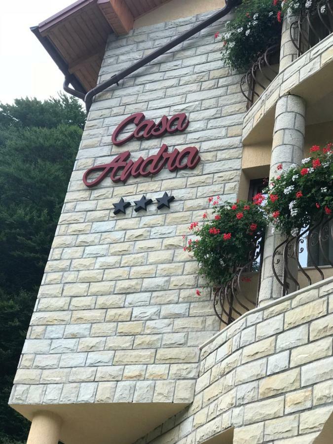 Casa Andra 호텔 슬래닉몰도바 외부 사진